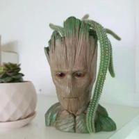 ราคา groot pot กระถางกรูท ตอนโต (1729786829937084922)