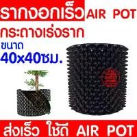 ราคา *ไม่พับกระถาง* กระถางปลูกต้นไม้เร่งราก 40x40cm Air Pot กระถางปลูกต้นไม้ กระถาง กระถางต้นไม้ กระถางเพิ่มราก กระถางเร่งราก (1729799695469021737)