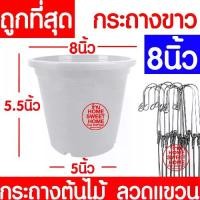 ราคา กระถางเพาะชำ 8นิ้ว กระถางขาว กระถางต้นไม้ กระถางปลูกต้นไม้ ลวดแขวนกระถาง ลวดแขวนต้นไม้ กระถาง เพาะปลูก ต้นไม้ pot bunga ที่ แขวน กระถาง ต้นไม้ ก ร ะ ถ า ง ป ล ู ก ผ (1729800100585179689)