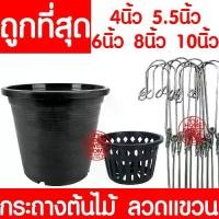ราคา กระถางต้นไม้พลาสติก กระถางต้นไม้ กระถางเพาะชำ ลวดแขวนกระถาง ลวดแขวนต้นไม้ 4นิ้ว 5.5นิ้ว 6นิ้ว 8 นิ้ว 10 นิ้ว ส่งเร็ว pot bunga ที่ แขวน กระถาง ต้นไม้ กระถาง จิ๋ว ก ร ะ ถ (1729799749769005609)
