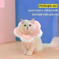 ราคา ปลอกคอกันเลีย ลำโพงกันเลีย คอลล่ากันเลีย คอลล่า Collar ปลอกคอ ปลอกคอสุนัข ปลอกคอแมว คอลล่าสัตว์เลี้ยง ลำโพงสุนัข (1729432097469008548)