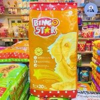 ราคา บิงโกสตาร์ รสแซลมอนรมควัน อาหารสุนัข กระสอบแบ่งบรรจุ 1kg.*20 ถุง BingoStar Salmon Flavour 20 kg. (1731308192470172704)