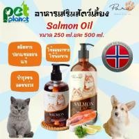 ราคา [500ml.][250ml.] อาหารเสริมสัตว์เลี้ยง น้ำมันปลาแซลมอน PARI น้ำมันปลาแซลมอนแท้ น้ำมันปลา Salmon Oil อาหารแมว อาหารสุนัข (1729590790473419282)