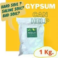 ราคา ผงยิปซั่ม ปรับปรุงดินแข็ง เค็ม 1 Kg. | Calcium Sulfate (Gypsum) soil conditioner (1729633461308656345)