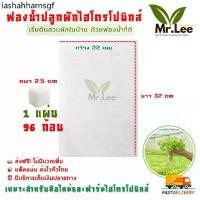 ราคา ❥(แพ็ค 50 แผ่น) ฟองน้ำปลูกผักไฮโดรโปนิกส์ Hydroponic Sponge สำหรับเพาะเมล็ดผักสลัด (แพ็ค 50 แผ่น)➳ (1732415106184087009)