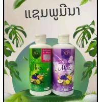 ราคา (แซมพูมีนา + ครีมนวด) ยาสระผม แซมพูสมุนไพรต้มสดจากมะกรูด และดอกอันชัน ขนาด200มล (1732389826292254009)