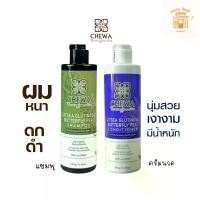 ราคา แชมพู ครีมนวด ชีวาร์ สมุนไพรใบหมี่อัญชัน สูตรดั้งเดิม 1ขวด 240 ml. (1732138825001633490)