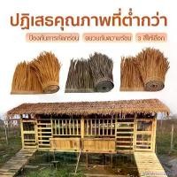 ราคา Marsh household หลังคาฟาง หญ้าหลังคา มุงจำลอง ป้องกันการกัดกร่อน สําหรับตกแต่งหลังคา ฉนวนกันความร้อน หญ้าพลาสติก จัดส่งเฉพาะจุด (1732257237993425179)