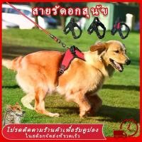 ราคา เชือกจูงสุนัข สายจูงสุนัข สายจูงหมา รัดอกสุนัข เสื้อรัดอกสุนัข หมา สัตว์เลี้ยง ราคาถูก พร้อมส่ง พันธุ์กลาง-ใหญ่ หลายสี หลายไซส์ สายจูง (1730257485129812464)
