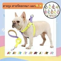 ราคา PP-267 สายจูง สายรัดอกหมา แมว ชุดรัดอกสุนัข สีพาสเทล น่ารัก สายจูงสุนัข หมา สำหรับสุนัขและแมว พร้อมส่ง คําแนะนําการขายที่ร้อนแรงในเดือนนี้ (1732130364172043653)