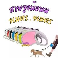 ราคา สายจูง ตลับเมตร 5m สายจูงสัตว์เลี้ยง สายจูงหมายืดได้หดได้ (1729428615632750875)