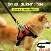 ราคา สายจูงรัดอก สายจูง เชือกจูงสุนัข เชือกจูงยืดหยุ่น สายจูงสุนัข ชุดรัดอกสุนัข สายจูงสัตว์เลี้ยง มีขนาดให้เลือก (1729601502364207423)
