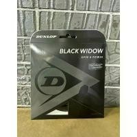 ราคา เอ็นเทนนิส DUNLOP BLACK WIDOW (PACKAGE) ที่นิยมมากที่สุด (1731917248780863484)