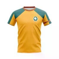 ราคา เสื้อยืดกีฬา คอกลม แขนสั้น ดีไซน์ใหม่สำหรับฤดูร้อน ชุด Uniform Endo Inazuma Eleven (Super Eleven) ธีม Goenji (1730591240996162533)