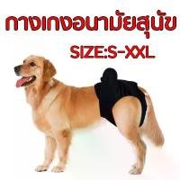 ราคา กางเกงอนามัยสุนัข Dog Diaper ผ้าอ้อมสุนัข ผ้าอ้อมหมา กางเกงอนามัยสุนัขพันธุ์เล็ก กางเกงอนามัยสุนัข size ใหญ่ (1730833683753634080)