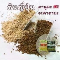ราคา ดินญี่ปุ่น ดินอาคาดามะ ดินอคาดามะ ดินคานูมะ ดินโรยแคคตัส ดินปลูกบอนไซ Akadama soil kanuma soil (1729690343078595518)