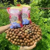 ราคา 500 กรัม แมคคาดีเมีย อบเนย ถั่วแมคคาดีเมีย macadamia nuts butter roasted แมคคาเดเมีย 500 กรัม (1730917735052643172)