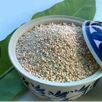 ราคา สาคูต้น พัทลุง ออร์แกนิก สาคูธรรมชาติ ขนมหวาน สาคูจากพัทลุง (1729593356170660454)