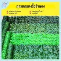 ราคา QuickBuy Gardening รั้วประดิษฐ์ใบพืชสีเขียวตาข่ายรั้วประดิษฐ์บรั้วระเบียง, รั้วพืชเทียมรั้ว (1731495638526823240)
