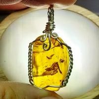 ราคา จี้อำพัน จากพม่า มีแมลงภายใน ฟอสซิล ยุคไดโนเสาร์ ความยาว 3.5 ซม. น้ำหนัก 2.8กรัม (1731145319712000888)