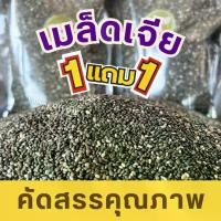 ราคา คุ้มมาก 1ฟรี 1 เมล็ดเจีย ถุง 1กิโล Chia seeds เกรดAAA ไม่เหม็นหืน สดใหม่ เจีย เชีย อร่อย มีประโยชน์ เม็ดเจีย เม็ดเชีย ออร์แกนิค อาหารว่าง อาหารเพื่อสุขภาพ ทานง่าย พร้อมส่ง (1730844410975849141)