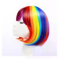 ราคา วิกผมสายรุ้ง วิกผมสั้น wig cosplay วิกผมแบบกิ๊บหนีบ (1732007396245931203)