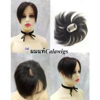 ราคา วิกผมปิดผมหงอกปิดผมบางผมแท้ Cala Wig แผ่นปิดผมบาง ผมแท้ทอมือ 5*8 ยาว 15cm (1729618269501753817)