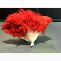 ราคา [Tiktok] พัดขนนก แต่งตัว costume ปาร์ตี้ ชุดจีน แกสบี้ จัดงาน ธีม อีเว้นท์ (1732188048087943702)