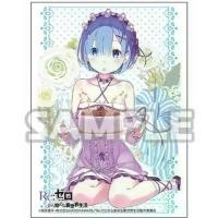 ราคา Bushiroad Sleeve HG Extra Vol.199 Re-Zero Rem Birthday สไตล์การระเบิด (1732132008289273344)