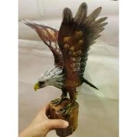 ราคา Certified productsรูปปั้นนกอินทรี นกอินทรีตั้งโต๊ะ เสริมฮวงจุ้ย ขนาดสูง 14 นิ้วสีน้ำตาล งานปั้นจากฝุ่นไม้ ทนแดดไม่ทนฝน (1732027326122329438)