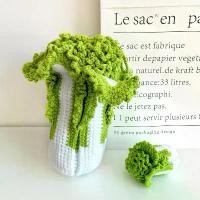 ราคา hotกระเป๋าสะพายข้าง แฮนด์เมด ดีไซน์สร้างสรรค์ ทอผ้า จำลอง กะหล่ำปลี โชคลาภ กระเป๋าสะพายข้าง อเนกประสงค์ ของขวัญให้แฟน มาใหม่stand oil,กระเป๋าสะพายข้าง,กระเป๋าเดินทาง,jiraกระเป๋าส (1730147005076769332)