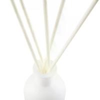 ราคา ก้านไม้หอมปรับอากาศ กลิ่นวนิลา Vanilla Reed Diffuser 50ml (1731343831875093873)