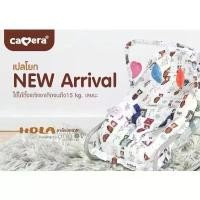 ราคา CAMERA เปลโยกรุ่นใหม่ ลาย HOLA พร้อมมุ้ง และของเล่น เปลโยกเด็กแรกเกิด (1732456239663318829)