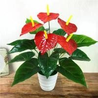 ราคา จำลองพืชสีเขียว, ตกแต่งพืชสีเขียวปลอม, กล้วยนักท่องเที่ยว, ไม่รวมกระถาง birth flower กุหลาบ redbacara มะขามบอนไซ pnw กุหลาบ เดซี่ แฮปปี ต้น กวนอิม ช่อ ดอกไม้ ต้น เปเปอร์ ด (1731481838692764005)