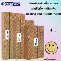 ราคา [พร้อมส่ง] สูง 120ซม. , 90ซม. , 60ซม. Cooling Pad แผงกระดาษรังผึ้ง กระดาษรังผึ้ง แผ่นกระดาษ แผ่นรังผึ้ง กระดาษระเหยความเย็น,ฟาร์ม, เยื่อกระดาษ, พัดลมไอเย็น (1732120209709499767)