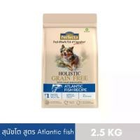 ราคา PERFECTA HOLISTIC GRAIN FREE สุนัขโต สูตร Atlantic fish 2.5 KG (1731991242510665075)