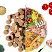 ราคา GUEENiuouirgewfewergeroshangmao บล็อกบัสเตอร์ อาหารปลาแปะกระจก BIOZYM TROPICAL FISH FOOD อาหารปลาสวยงาม ราคาถูก!! ปลากัด แปดริ้ว แท้ ๆ มหาชัย ปลากัด อาหาร ปลากัด โปรตีน สูง (1732205889567032933)