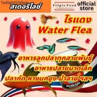 ราคา Ac ✸อาหารปลา ไรแดง Fish Food UHT อาหารลูกปลา ไรแดงปลากัด ไลแดง ยังมี ลูกน้ำ อาร์ทีเมีย ไข่ไรนางฟ้า♠ (1732450017609353214)