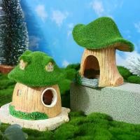 ราคา ตกแต่งเรซิ่น, บ้านเห็ดมอสภูมิทัศน์ตู้ปลา, การออกแบบการ์ตูน, ตกแต่งที่ซ่อนของปลาและกุ้ง, งานฝีมือ ชุด พร้อม เลี้ยง ตู้ปลา บ่อปลา เมทัลชีท ปลากัด สวยงาม ๆ เรืองแสง หิน ใส่ สวย เรือ (1732130292159776625)