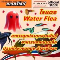 ราคา Ac ▼อาหารปลา ไรแดง Fish Food UHT อาหารลูกปลา ไรแดงปลากัด ไลแดง ยังมี ลูกน้ำ อาร์ทีเมีย ไข่ไรนางฟ้า☂ (1732475429877810907)