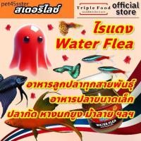 ราคา Ac ☼อาหารปลา ไรแดง Fish Food UHT อาหารลูกปลา ไรแดงปลากัด ไลแดง ยังมี ลูกน้ำ อาร์ทีเมีย ไข่ไรนางฟ้า✺ (1732450868370769642)