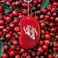ราคา พร้อมส่ง. Jelly Belly น้ำหอมปรับอากาศแบบแขวน กลิ่น VERY CHERRY​พร้อมส่ง# (1731361295694857616)