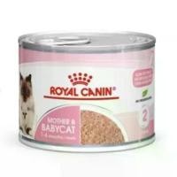 ราคา Royal Canin BabyCat Can Wet Food, Canned, Mother and Kitten, for Kittens Aged 1-4 Months (1732217413159650506)