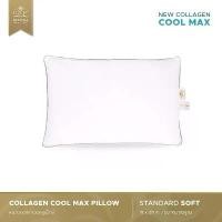 ราคา หมอนโรงแรม6ดาว Luxury หมอนหนุนคอลลาเจน คูลแมกซ์ รุ่น Standard Soft (19x29 นิ้ว) เหมาะสำหรับคนชอบนอนหงาย นอนหมอนแบน (1732272598915123076)