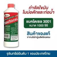 ราคา 【จัดส่งทันที】 Bactocel 3001 1,000 ml Microorganisms digest sink fat. Eliminate bad odors from grease traps, grease traps, and clogged pipes. (1732415404663408491)