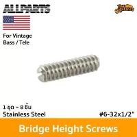 ราคา Allparts Stainless Bridge Height Screws for Vintage Telecaster/Bass น็อตตัวหนอน สำหรับ วินเทจ เทเล / เบส Made in USA สินค้าแนะนำ (1731419728262695510)