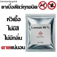 ราคา คลังสินค้า ทุกชนิด ไม่มีสี ไม่มีกลิ่น ยาเบือ ยาเบือสัตว์ ยาเบือหนู กำจัดแมลงได้ 100 กรัม crystal reed เครื่อง ไล่ นก โซล่าเซลล์ ยาฉีด ยุง ไบกอน 600 ซีซี ที่ กันชื้น ใส่ กระปุกออมสิน (17322994603572936