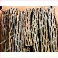 ราคา pzpzhop Cholla Wood 5inch ซื้อ 3 ชิ้น แถม 1 ชิ้น คัดพิเศษ ขอนไม้บ้านกุ้ง บ้านกุ้งแคระ กุ้งเรดบี บล็อกบัสเตอร์ ขายดีประจำเดือนนี้ มีบริการเก็บ สินค้าขายดี ที่นิยมมากที่สุด ข (1732285123987016202)