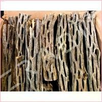 ราคา rkashop37 Cholla Wood 5inch ซื้อ 3 ชิ้น แถม 1 ชิ้น คัดพิเศษ ขอนไม้บ้านกุ้ง บ้านกุ้งแคระ กุ้งเรดบี บล็อกบัสเตอร์ ขายดีประจำเดือนนี้ มีบริการเก็บ สินค้าขายดี ที่นิยมมากที่สุด (1732231916143216073)