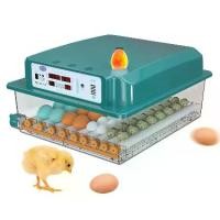 ราคา ระบบไฟฟ้าคู่ ตู้ฟักไข่ออโต้ ตู้ฟักไข่ 36 ตู้ฟักไข่ไก่ เครื่องฟักไข่ ตู้ฟักไข่ออโต้ ตู้ฟักไข่อัตโนมัติ ตู้ฟักไข่ไก่ชน อุปกรณ์ตู้ฟักไข่ ตู้ฟักไข่ เครื่องฟักไข่ไก่ ตู้ฟักไข่อัตโนมัต (1732409305417876782)